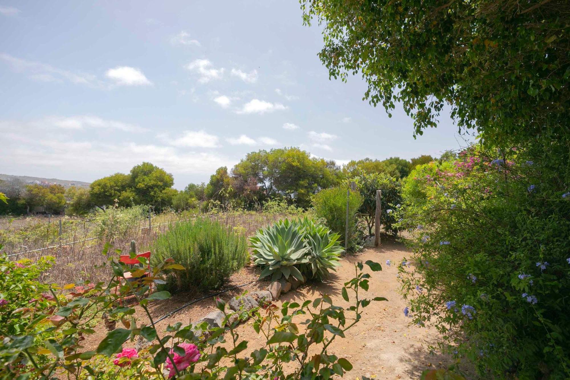 Villa Casa Wayra à Granadilla De Abona Extérieur photo