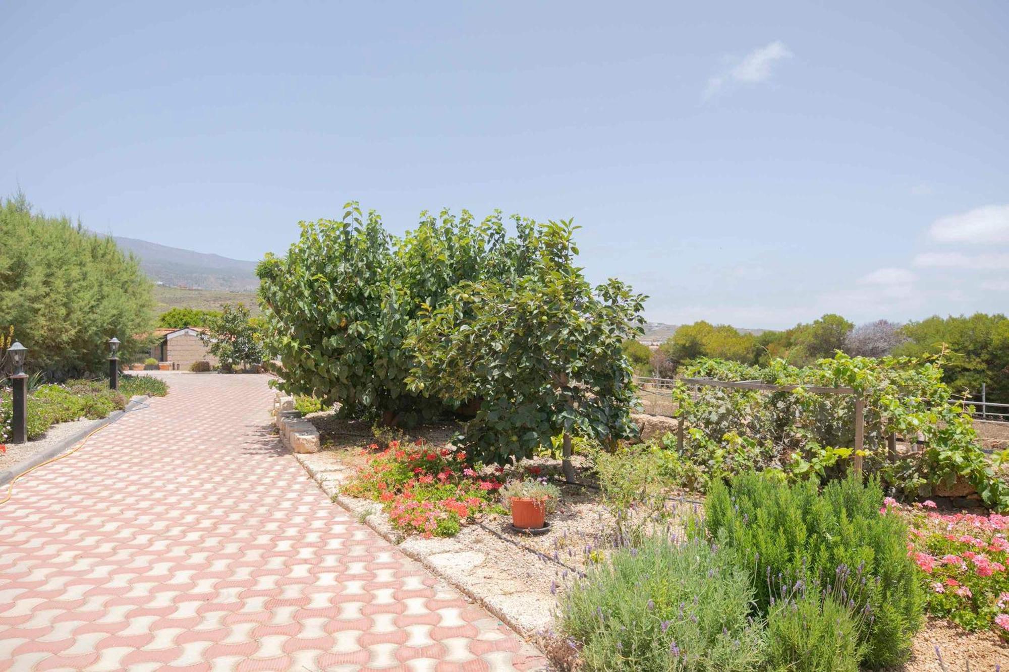 Villa Casa Wayra à Granadilla De Abona Extérieur photo